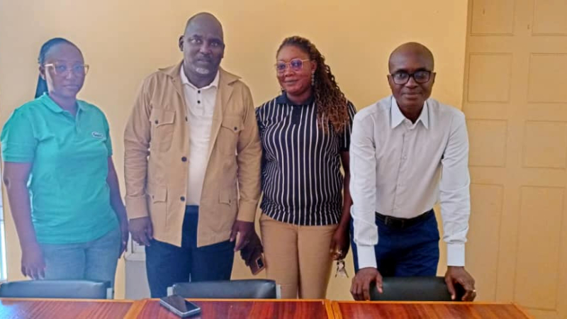 Formation ODYPHARM équipe Burkina Faso